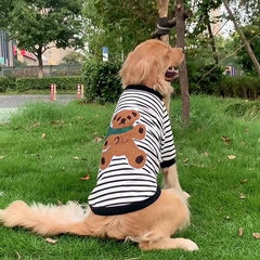 Pet Lutcho Blouse — Soft, Stylish, and Made for Everyday Comfort